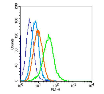 PIK3R1 Rabbit Polyclonal Antibody