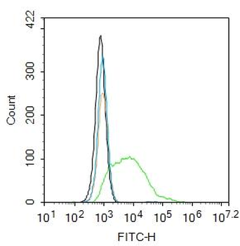 Phospho-AKT (Ser473) Rabbit Polyclonal Antibody