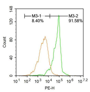 Smad1 Rabbit Polyclonal Antibody