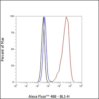 MUC2 Recombinant Rabbit Monoclonal Antibody