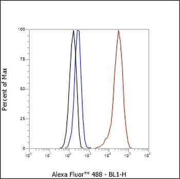 Glypican 3 Recombinant Rabbit Monoclonal Antibody