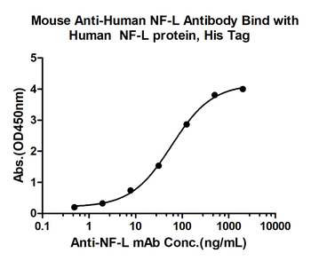 NF-L Mouse Monoclonal Antibody