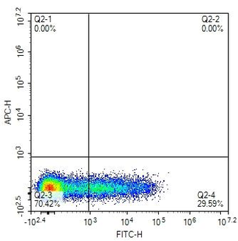 Human HLA-DR Mouse Monoclonal Antibody