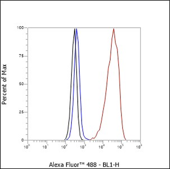 SF1 Recombinant Rabbit Monoclonal Antibody