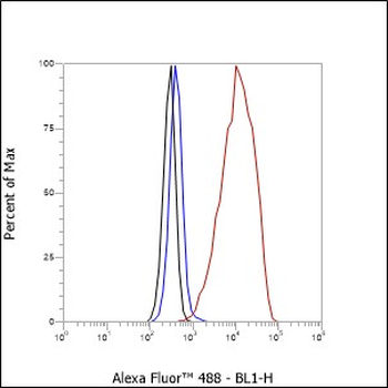LHB Recombinant Rabbit Monoclonal Antibody