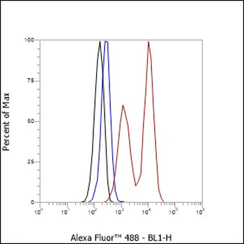 ST13 Recombinant Rabbit Monoclonal Antibody