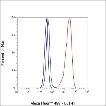 RPA2 Recombinant Rabbit Monoclonal Antibody