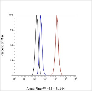 RPA2 Recombinant Rabbit Monoclonal Antibody