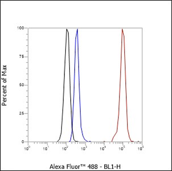 KDM4B Recombinant Rabbit Monoclonal Antibody