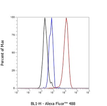 MSH6 Recombinant Mouse Monoclonal Antibody