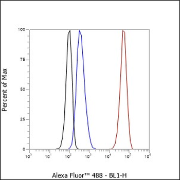 SATB1 Recombinant Rabbit Monoclonal Antibody