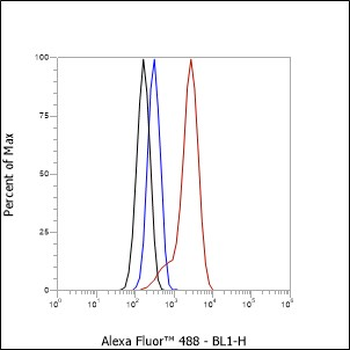 ASGPR Recombinant Rabbit Monoclonal Antibody