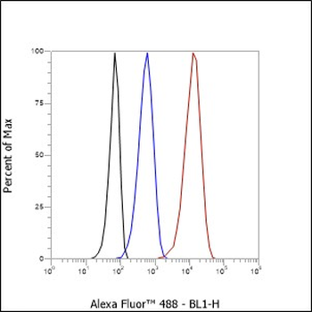 GPNMB Recombinant Rabbit Monoclonal Antibody