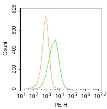 CD45 Rabbit Polyclonal Antibody