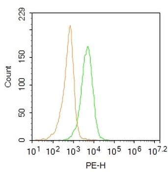 CD45 Rabbit Polyclonal Antibody