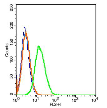 CD45 Rabbit Polyclonal Antibody
