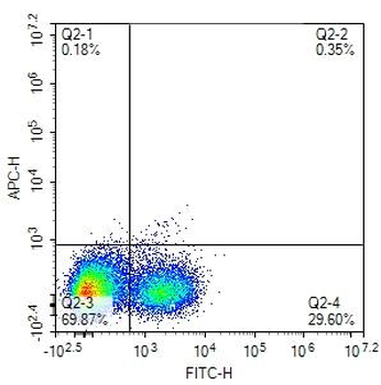 Mouse CD19 Rat Monoclonal Antibody (FITC)