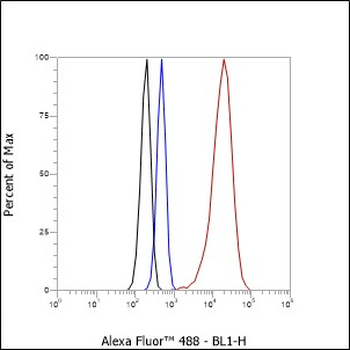 Alpha Synuclein Recombinant Rabbit Monoclonal Antibody