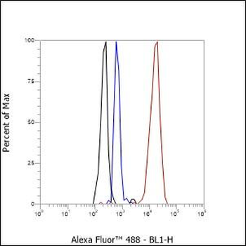 Alpha Synuclein Recombinant Rabbit Monoclonal Antibody