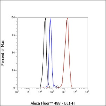 Alpha Synuclein Recombinant Rabbit Monoclonal Antibody