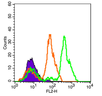 CD4 Rabbit Polyclonal Antibody (PE)