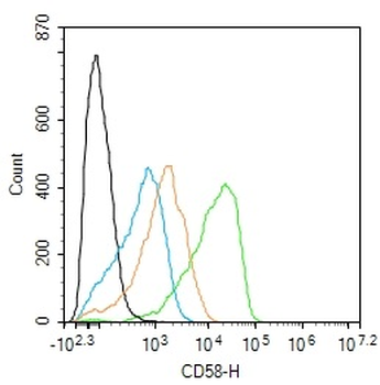 CD58 Rabbit Polyclonal Antibody