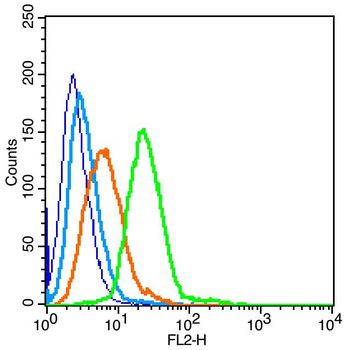 IGSF8 Rabbit Polyclonal Antibody