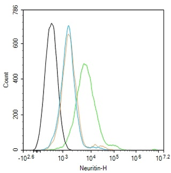 Neuritin Rabbit Polyclonal Antibody