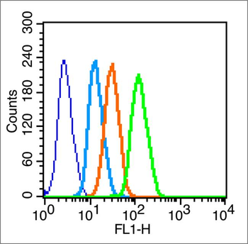 UCP-2 Rabbit Polyclonal Antibody