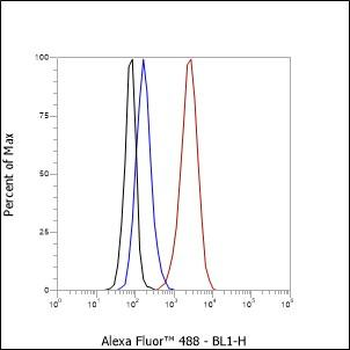 BMAL1 Recombinant Rabbit Monoclonal Antibody
