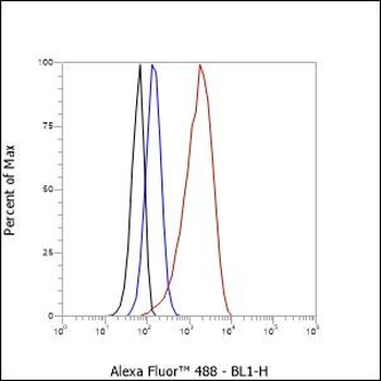 Hsp27 Recombinant Rabbit Monoclonal Antibody