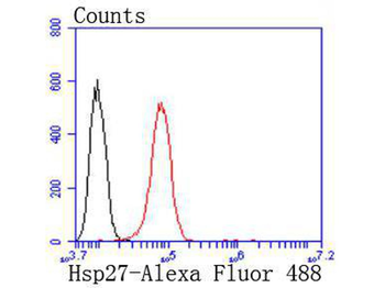 Hsp27 Recombinant Rabbit Monoclonal Antibody
