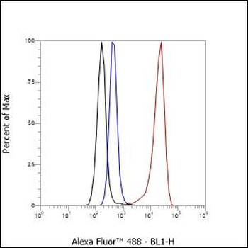 ERG Recombinant Rabbit Monoclonal Antibody
