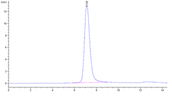 Recombinant human PD-L1 protein, C-His (HEK293)