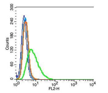 BSX Rabbit Polyclonal Antibody