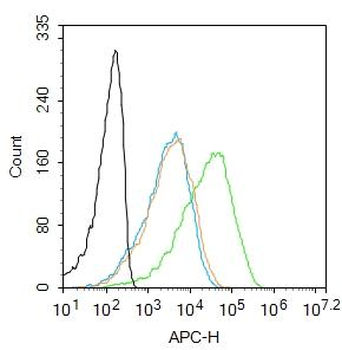 CLIC6 Rabbit Polyclonal Antibody