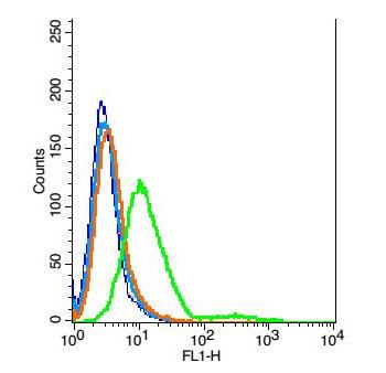 GALR2 Rabbit Polyclonal Antibody