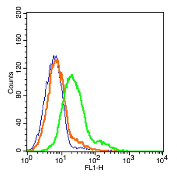 Giantin Rabbit Polyclonal Antibody