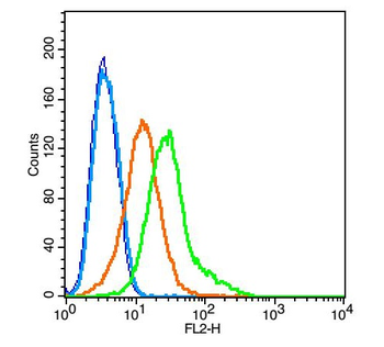 MNX1/HLXB9 Rabbit Polyclonal Antibody