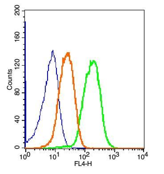 PLCG 2 Rabbit Polyclonal Antibody (BF647)