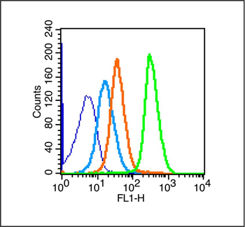 NGFR/p75NTR Rabbit Polyclonal Antibody
