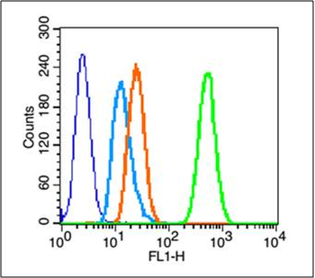 PDGF-A Rabbit Polyclonal Antibody