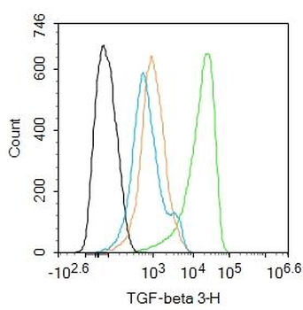 TGF-beta 3 Rabbit Polyclonal Antibody