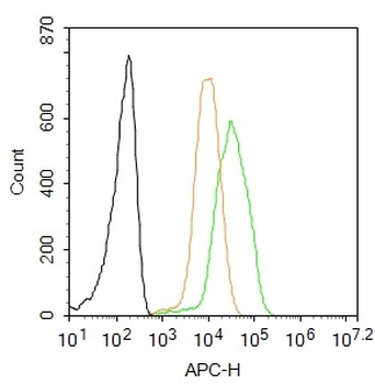 Integrin beta 1 Rabbit Polyclonal Antibody (BF647)