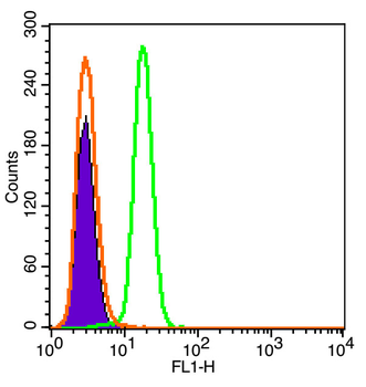 TPOR Rabbit Polyclonal Antibody (BF488)