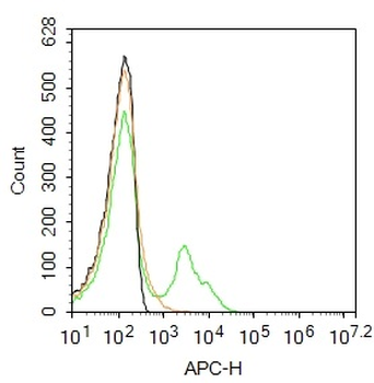 GRM1 Rabbit Polyclonal Antibody (BF647)