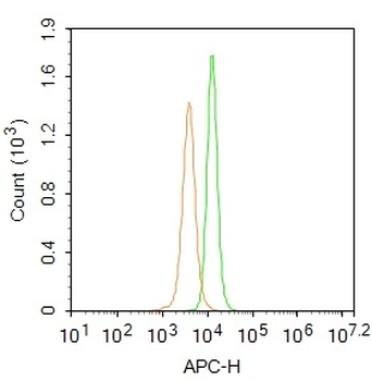 Neuritin Rabbit Polyclonal Antibody (BF647)