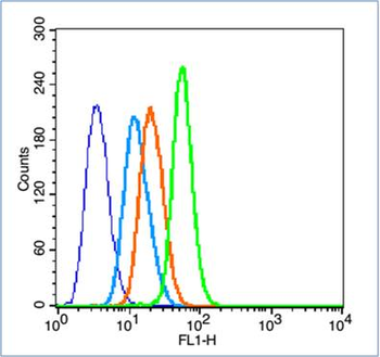 CD4 Rabbit Polyclonal Antibody