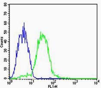 CHI3L1 Rabbit Polyclonal Antibody