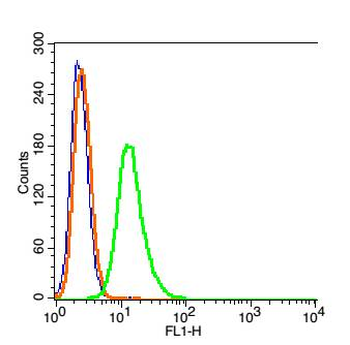 PHF8 Rabbit Polyclonal Antibody